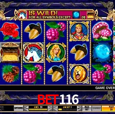 Bet116 Rio de Janeiro - Professional Dealers