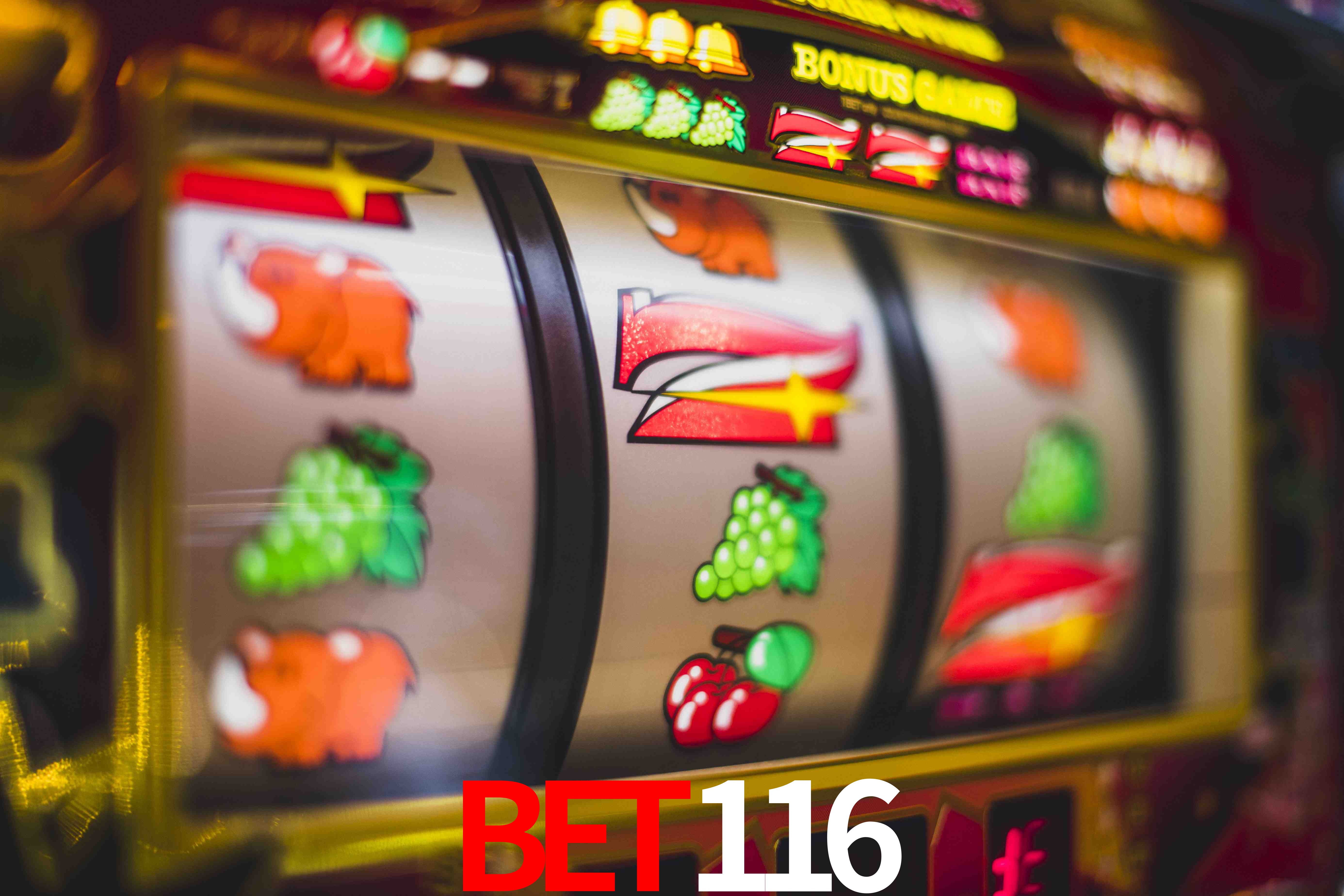 Statistics Bet116